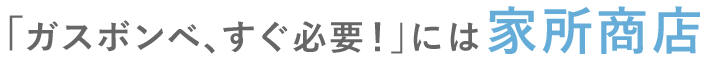 有限会社家所商店